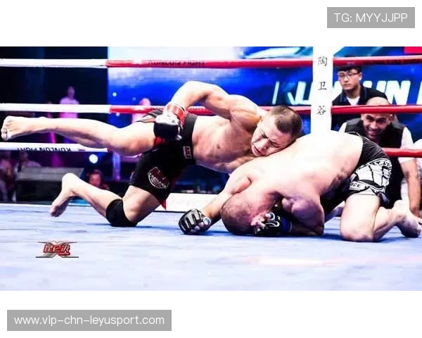 MMA赛事规则优化提升竞技观赏性